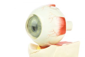 Artificial Eye Lens