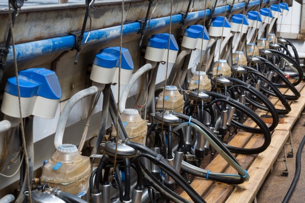 Automated Milking Systems