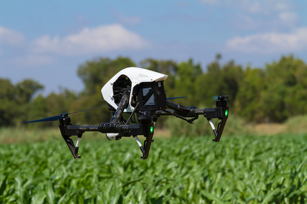 Drone Hovering Over Agriculture