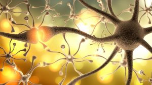 Light Activated Neurons