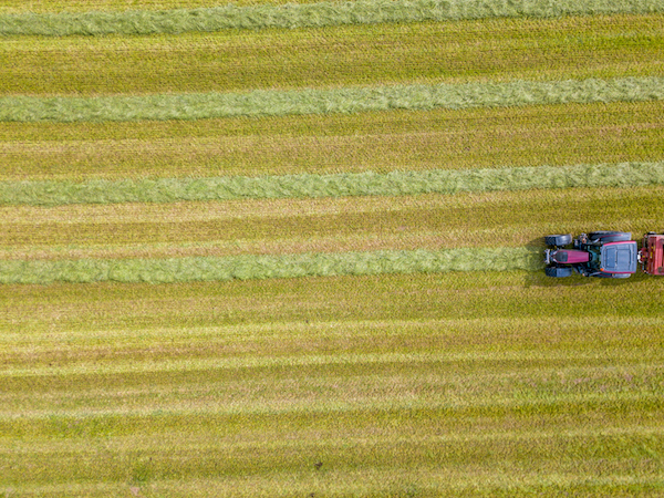 Robotic Weeder